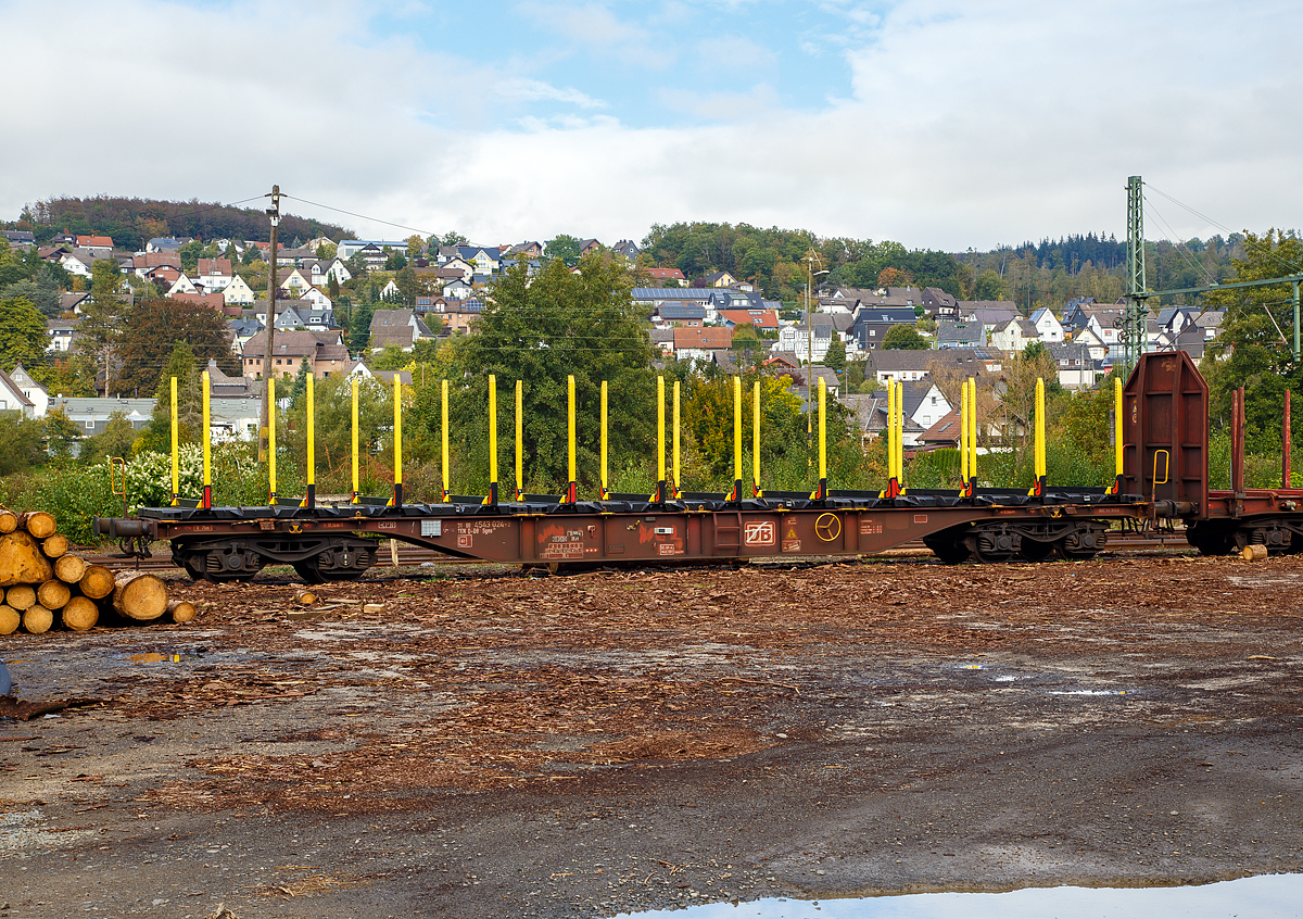 
4-achsiger Drehgestell-Containertragwagen 31 80 4543 024-2 D-DB der Gattung Sgns 681 der DB Cargo AG abgestellt am 30.09.2020 in Scheuerfeld (Sieg). Hier mit einem Rungen-Traggestell für den Holztransport.

TECHNISCHE DATEN:
Spurweite: 1.435 mm
Länge über Puffer: 19.740 mm
Drehzapfenabstand: 14.200 mm
Radsatzstand in den Drehgestellen: 1.800 mm
Ladelänge: 18.400 mm
Höhe der Ladeebene für Container über S.O.: 1.155 mm
Drehgestell-Bauart: 629.4 - Y25 Lsd
Raddurchmesser: 920 mm (neu) / 860 mm (abgenutzt
Eigengewicht: 18.900 kg (ohne Ladegestell)
Max. Zuladung bei Lastgrenze S: 71 t (ab Streckenklasse D)
Max. Geschwindigkeit: 100 km/h (leer 120 km/h)
Max. Radsatzlast: 20 t
Bremse: KE-GP-A
Bremssohle: K-Sohle, Cosid 810
Handbremse: 	Fbr
Kleinster bef. Gleisbogenradius: 75 m
Intern. Verwendungsfähigkeit: TEN GE
