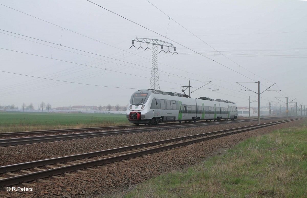 440 104-6 als S1 37124 Wurzen - Leipzig Miltizer Allee bei Borsdorf bei Leipzig. 29.03.14