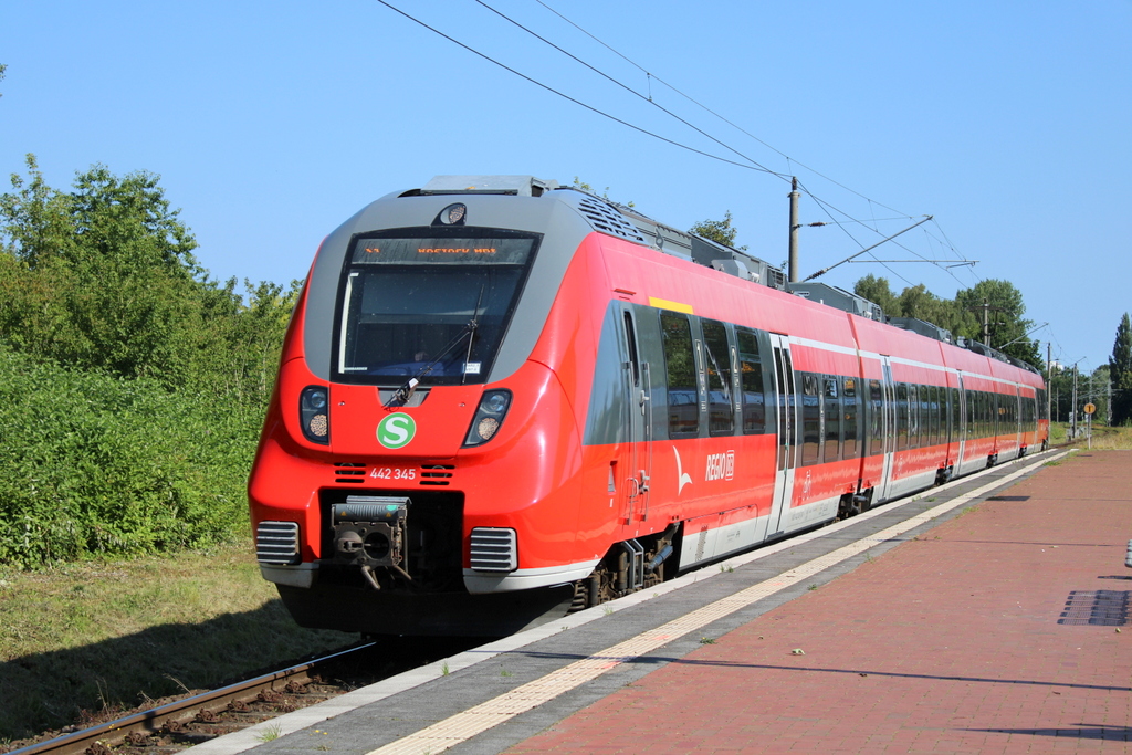 442 345 als S1(Warnemünde-Rostock)bei der Einfahrt in Rostock-Lichtenhagen.20.07.2024