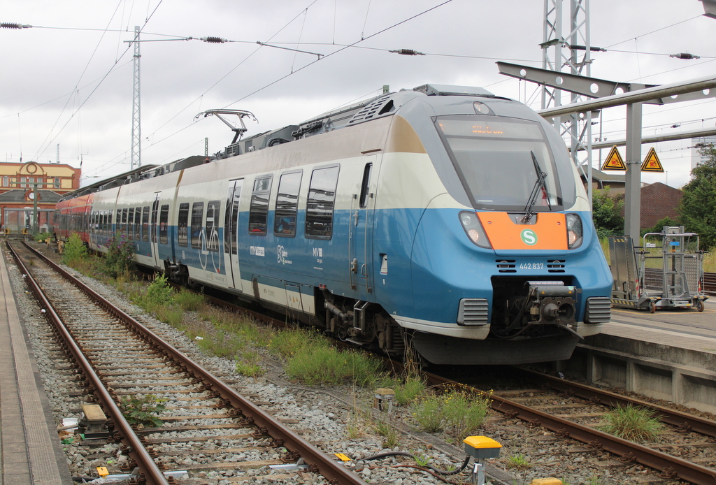 442  837  50 Jahre S-Bahn Rostock stand am 03.08.2025 als S2(33409)von Rostock Hbf nach Güstrow im Rostocker Hbf.