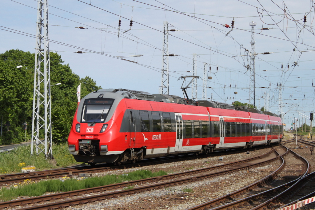442 845 als S1(Warnem�nde-Rostock)bei der Ausfahrt in Warnem�nde.28.05.2016