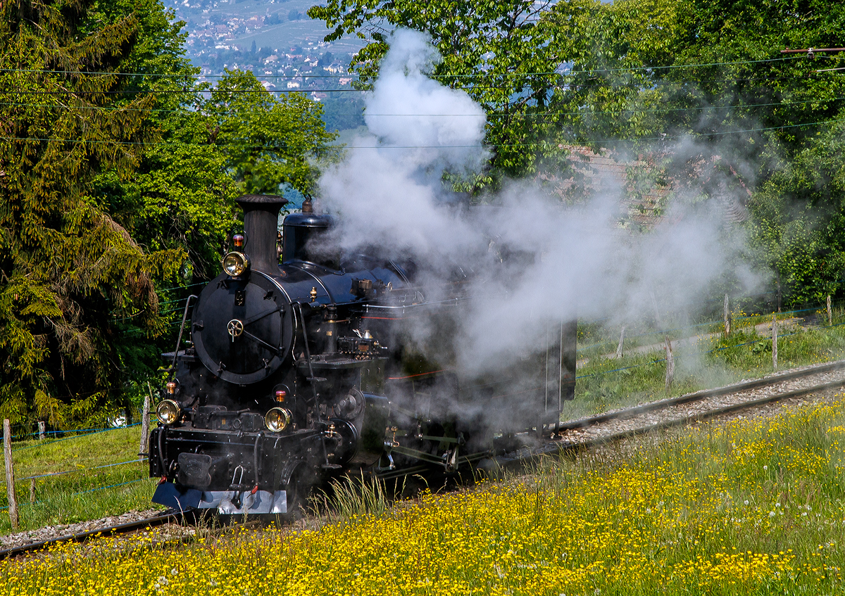 
50 Jahre BC - MEGA STEAM FESTIVAL der Museumsbahn Blonay–Chamby:
Die F.O.4 bzw. DFB HG 3/4 Nr. 4, ex B.F.D. 4 (Brig-Furka-Disentis, später FO - Furka-Oberalp), fährt am 19.05.2018 von Chaulin nach Blonay hinab.

Die B.F.D. HG 3/4 ist eine von zehn von der Schweizerische Lokomotiv- und Maschinenfabrik (SLM) gebauten Dampflokomotiven für gemischten Adhäsions- und Zahnradbetrieb für die Brig-Furka-Disentis. Diese hier wurde 1913 unter der Fabriknummer 2318 gebaut.