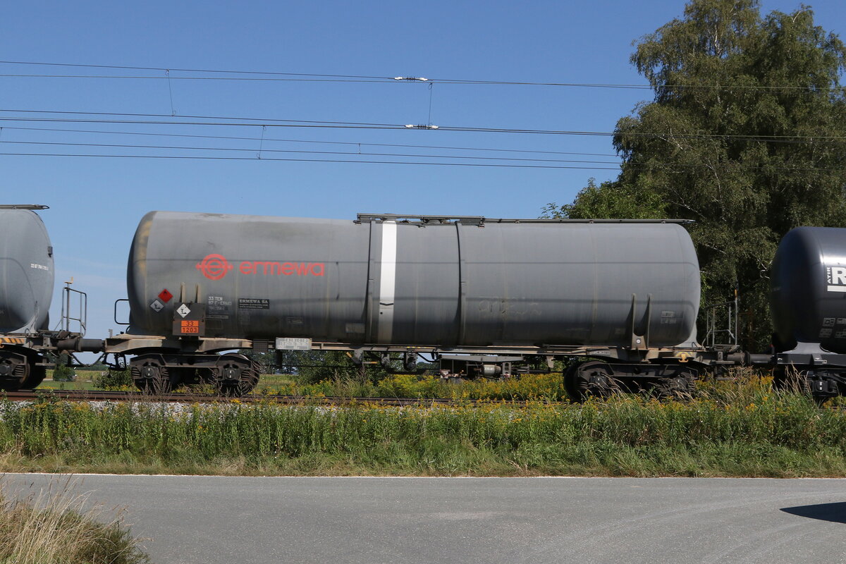 78411 554 (Zacns) von  ERMEWA  am 17. August 2022 bei bersee.