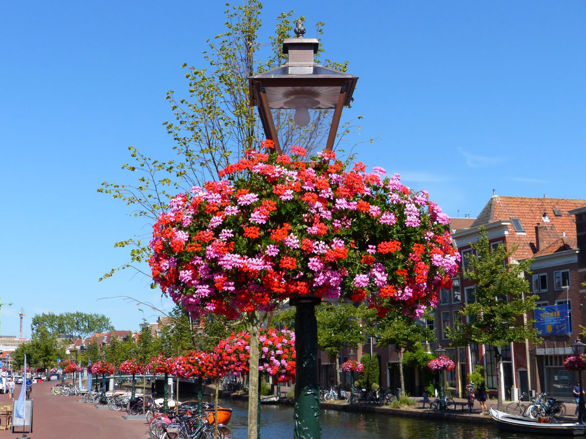 Aalmarkt, Leiden 15-07-2018.