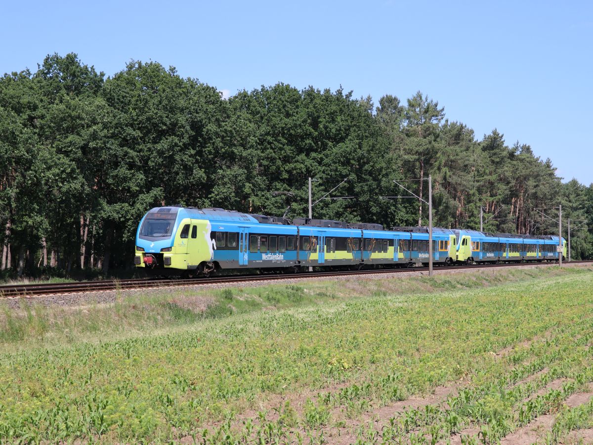 Abellio Westfalenbahn Triebzug ET 404 und ET 411 bei Bahnbergang Bernte, Emsbren 03-06-2022.

Abellio Westfalenbahn treinstel ET 404 en ET 411 bij overweg Bernte, Emsbren 03-06-2022.