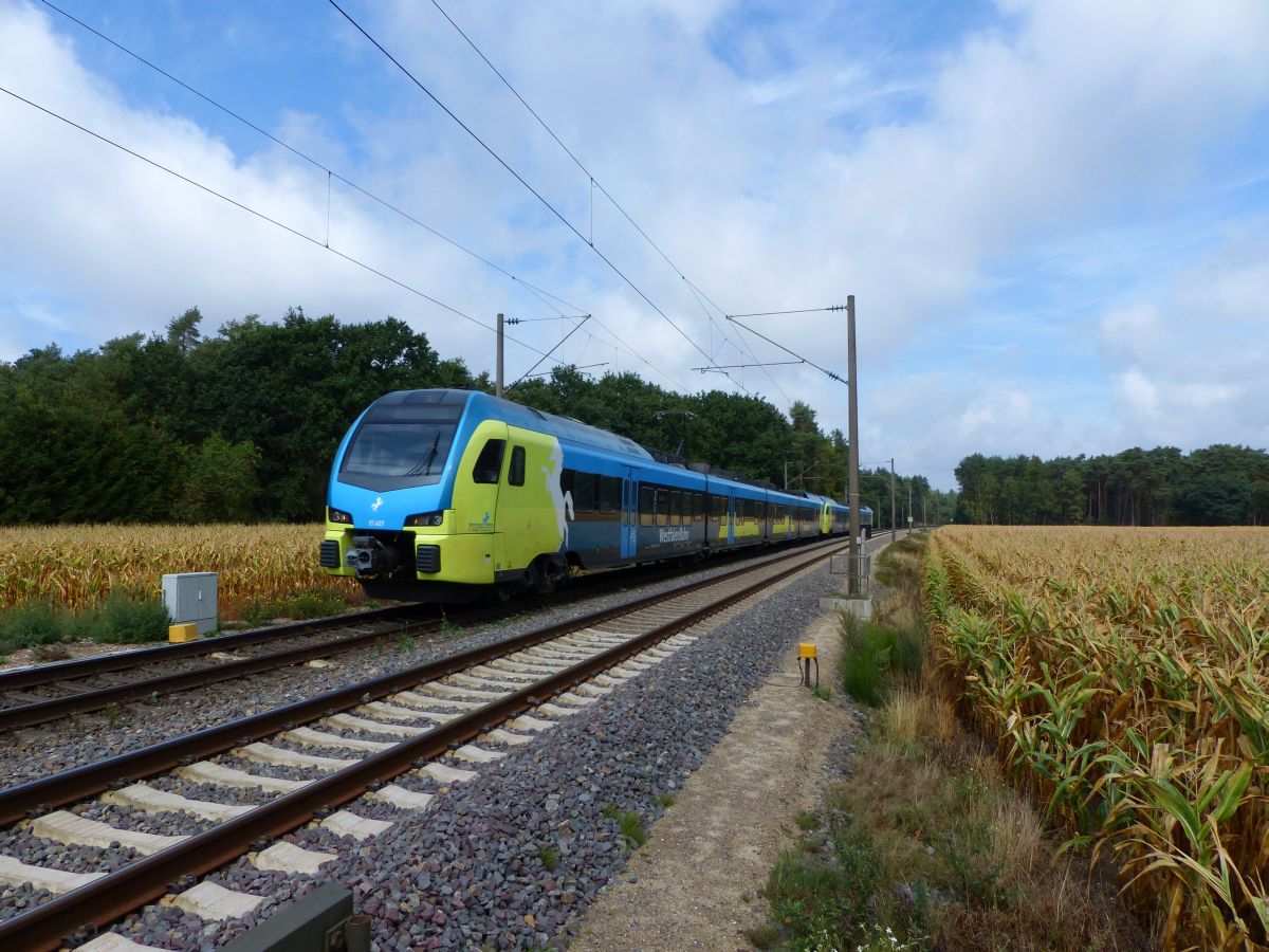 Abellio Westfalenbahn Triebzug ET 407 Bernte, Emsbren 17-08-2018.

Abellio Westfalenbahn treinstel ET 407 Bernte, Emsbren 17-08-2018.