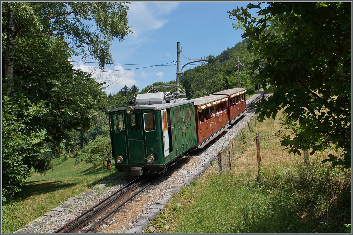 Abgebgelt fhrt dieser SPB Zug talwrts. 
etwas oberhalb von Wilderswil, 12. Juli 2015