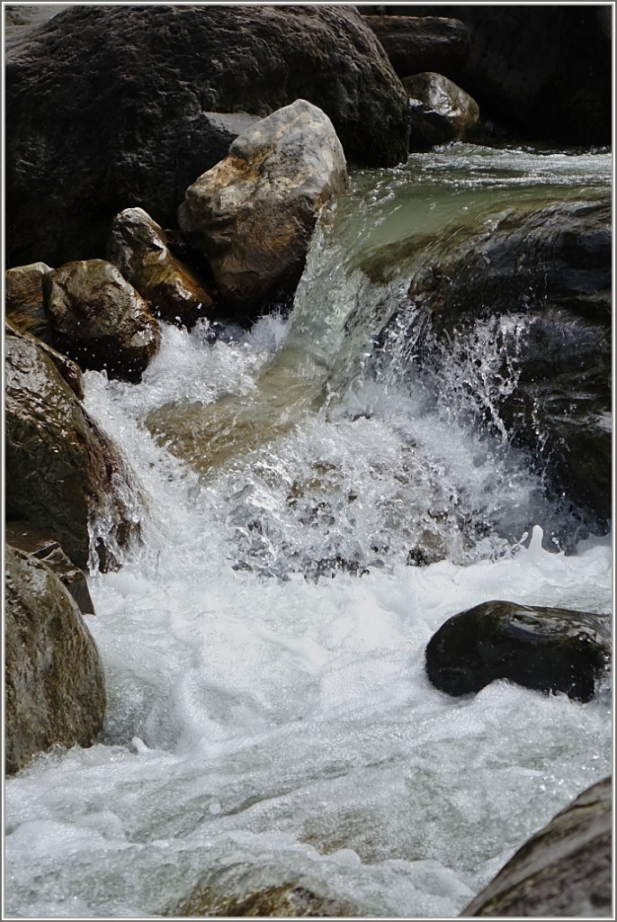 An kühlendem Gewässer
(01.08.2014)