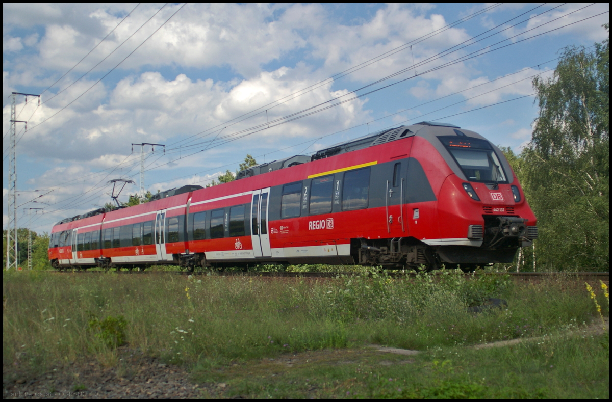 Auf Dienstfahrt zum Bahnhof (Berlin Sch�nefeld Flughafen befand sich DB Regio 442 137-6 als der Triebzug am 09.08.2017 durch die Berliner Wuhlheide fuhr
