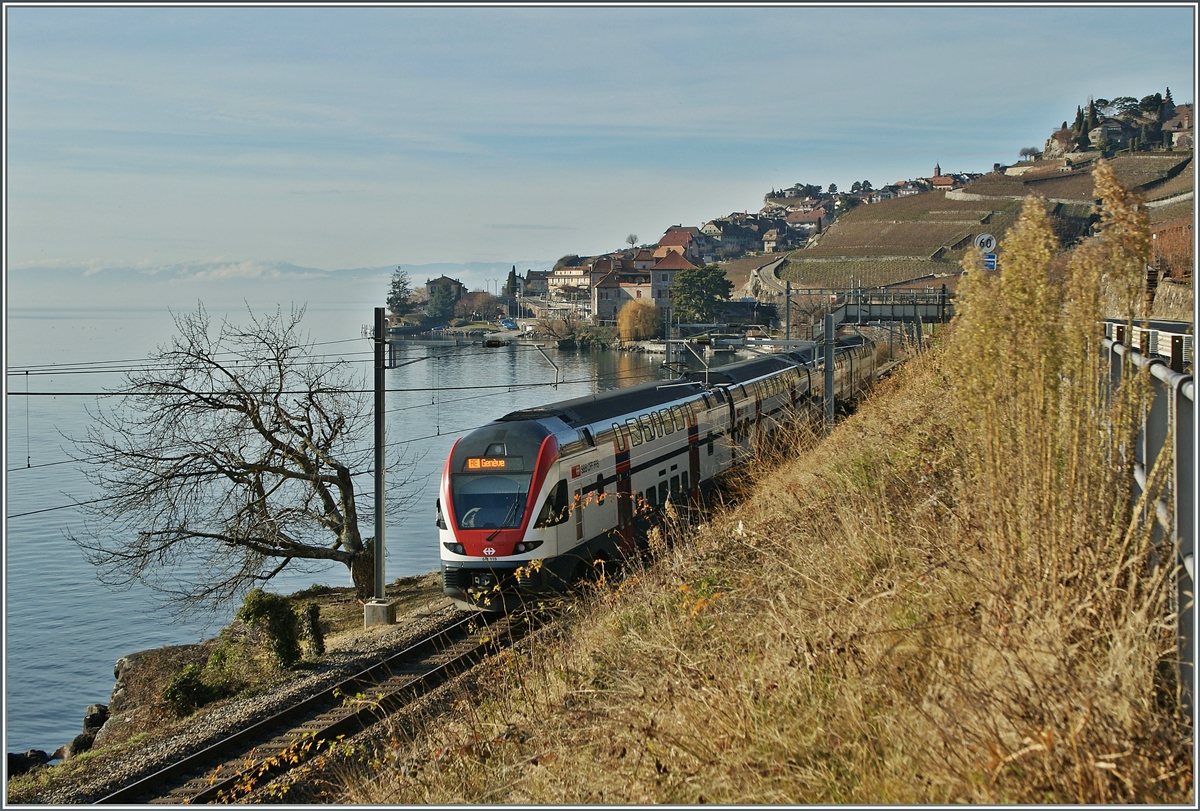 Auf der Suche nach Abwechlung an bekannte Fotostellen kam ich auf die Idee zu diesem Bild: Ein RABe 511 115 als RE nach Genève.
1. Jan. 2014  