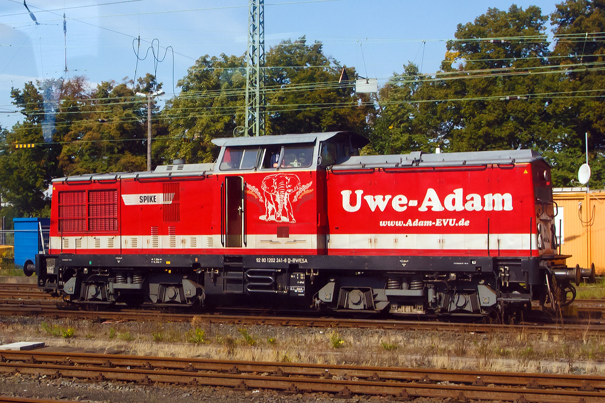 
Aus dem Zug heraus konnte ich am 27.08.2014 in Gieen, leider mit Spiegelungen, die 202 241-6 (92 80 1202 241-6 D-BWESA)  Spike  der Uwe Adam EVU GmbH, ex DB 202 241-6, ex DR 112 241-5, ex DR 110 241-7, fotografieren.

Die V 100.1 wurde 1970 bei LEW (VEB Lokomotivbau Elektrotechnische Werke „Hans Beimler“, Hennigsdorf) unter der Fabriknummer 12523 gebaut und als 110 241-7 an die DR (Deutsche Reichsbahn) ausgeliefert. 1981 erfolgte eine Remotorisierung unter Verwendung eines 12-Zylinder-Viertakt-Dieselmotor vom Typ 12 KVD 18/21 AL-4 mit 1200 PS (883 kW) Leistung und die Umzeichnung in DR 112 241-5. Im Jahr 1992 erfolgte die Umzeichnung in DR 202 241-6 und 1994 dann in DB  202 241-6, die Ausmusterung bei der DB erfolgte 2000. 