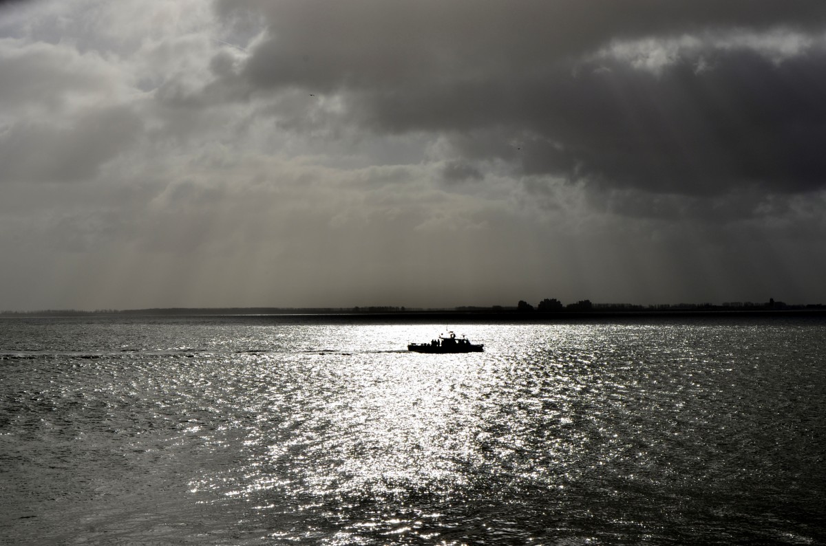 Boot auf der Westerschelde zwischen Vlissingen und Breskens am 08.02.2015