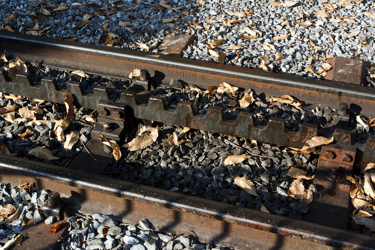 
BRB-Schiene (Spurweite 800 mm) und (Einzel-) Zahnstangen System Abt, hier im Bahnhofsbereich aus dem Jahr 1965, gewalzt bei Donawitz (heute Voestalpine Österreich).  Aufgenommen am 30.09.2011 im BRB Bahnhof Brienz. Teilweise sind auf der Strecke noch Schiene und Zahnzange aus dem Baujahr 1891 verbaut. Diese alte Infrastruktur muss in den nächsten Jahren durch neue ersetzt werden. 

Das System Abt, nach ihrem Erfinder Carl Roman Abt, mit Lamellenzahnstangen. Zwei oder drei Lamellen (im flachen Bereichen auch nur eine) liegen gegeneinander versetzt mit den Zähnen nach oben im Gleis; ein entsprechendes Zahnrad greift von oben ein. Besonderer Vorteil bei Verwendung mehrerer Lamellen ist die gleichmäßigere Kraftübertragung, da sich immer mindestens ein Zahn im Eingriff befindet; dabei ist allerdings eine Torsionsfederung der Triebzahnräder erforderlich. Technisch eng mit dem System Abt verwandt ist das System Von Roll mit nur einer Lamelle. Es gibt für diese Zahnstange Sicherungen gegen ein Aufklettern in Form eines Spurnagels, der zwischen zwei Lamellen durchreicht und dessen Kopf in die Unterseite der Lamellenzahnstangen eingreift. Dazu müssen die Zahnstangen allerdings so befestigt werden, dass für den Nagel ein freier Lichtraum gegeben ist. In Weichenbereichen oder in flachen Abschnitten wird zum Teil nur eine Lamelle (außermittig) verlegt.