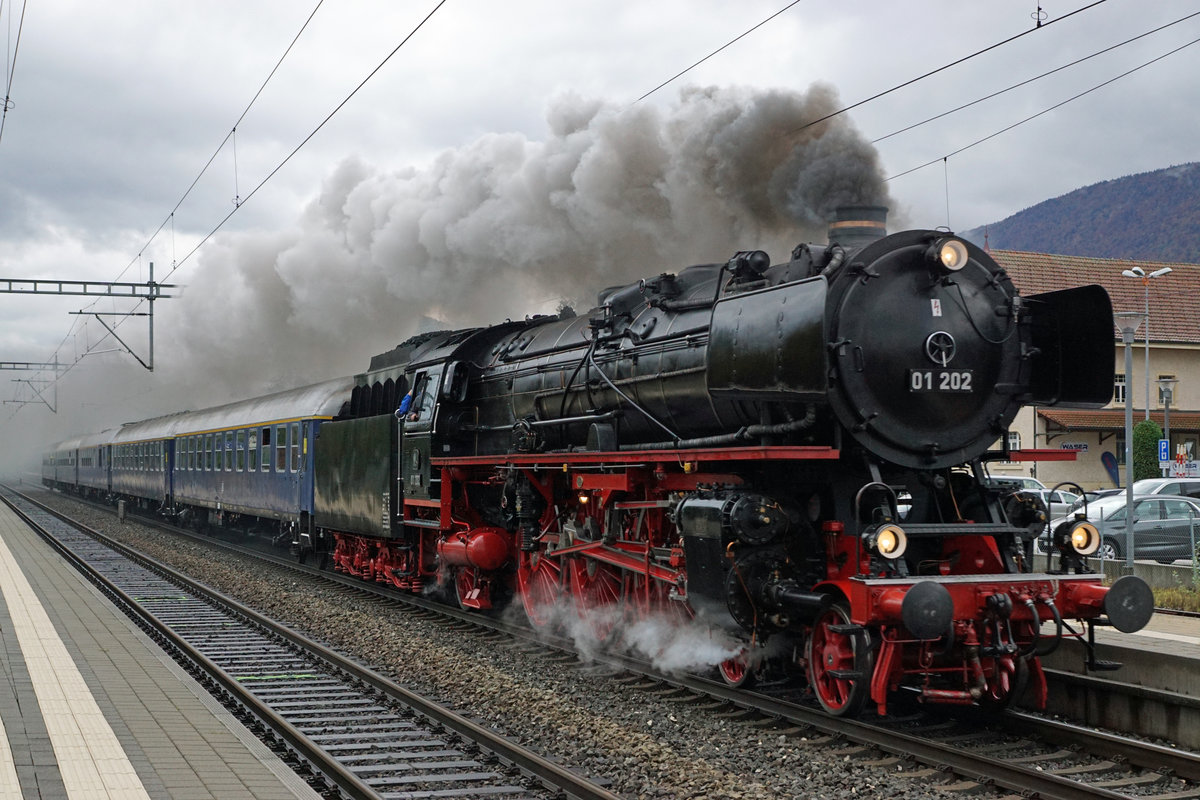 Dampflokomotive Pacific 01 202.
Goldener Herbstausflug zum khlen Bier nach Rheinfelden zur Brauerei Feldschlsschen.
Anlsslich der Bahnhofsdurchfahrt Grenchen-Sd vom 10. Oktober 2020 war der goldene Herbst noch nicht erkennbar. Wie vor einer Woche bei der  Mikado  eine Fahrt durch den Regen bei sehr schlechten Lichtverhltnissen.
Als Allwetterfotograf lasse ich mir natrlich solch einmalige Fotosujets nicht entgehen. Die Bahn ist ja schliesslich bei jedem Wetter unterwegs.
Foto: Walter Ruetsch 