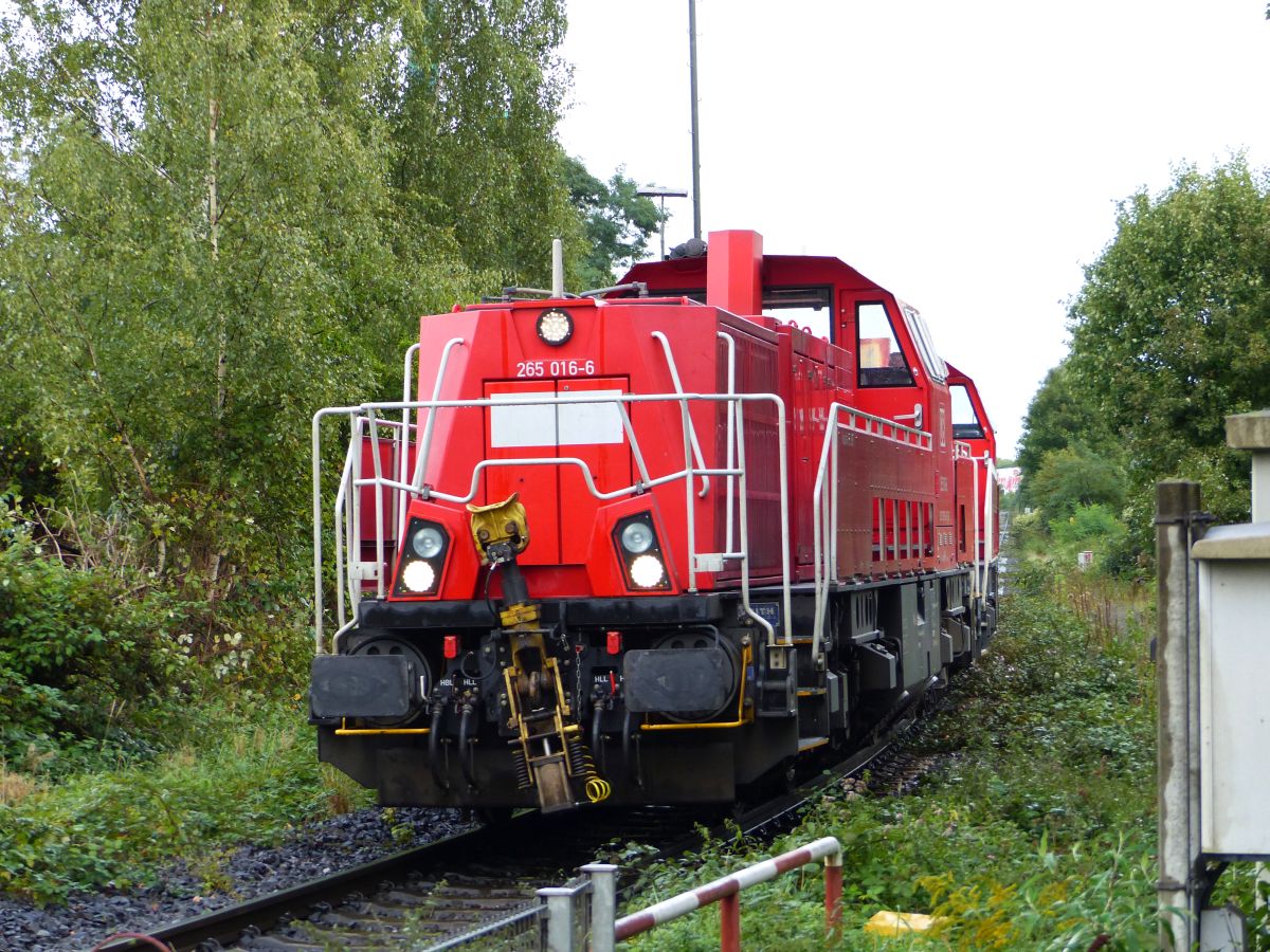 DB Cargo dieselloc 265 016-6 mit Schwesterlok Atroper Stra�e, Duisburg 14-09-2017.

DB Cargo dieselloc 265 016-6 met zusterloc Atroper Stra�e, Duisburg 14-09-2017.