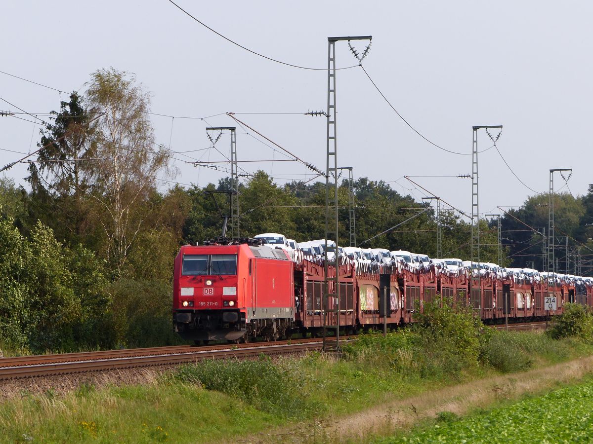 DB Cargo Lokomotive 185 211-0 Devesstrae, Salzbergen 11-09-2020.

DB Cargo locomotief 185 211-0 Devesstrae, Salzbergen 11-09-2020.