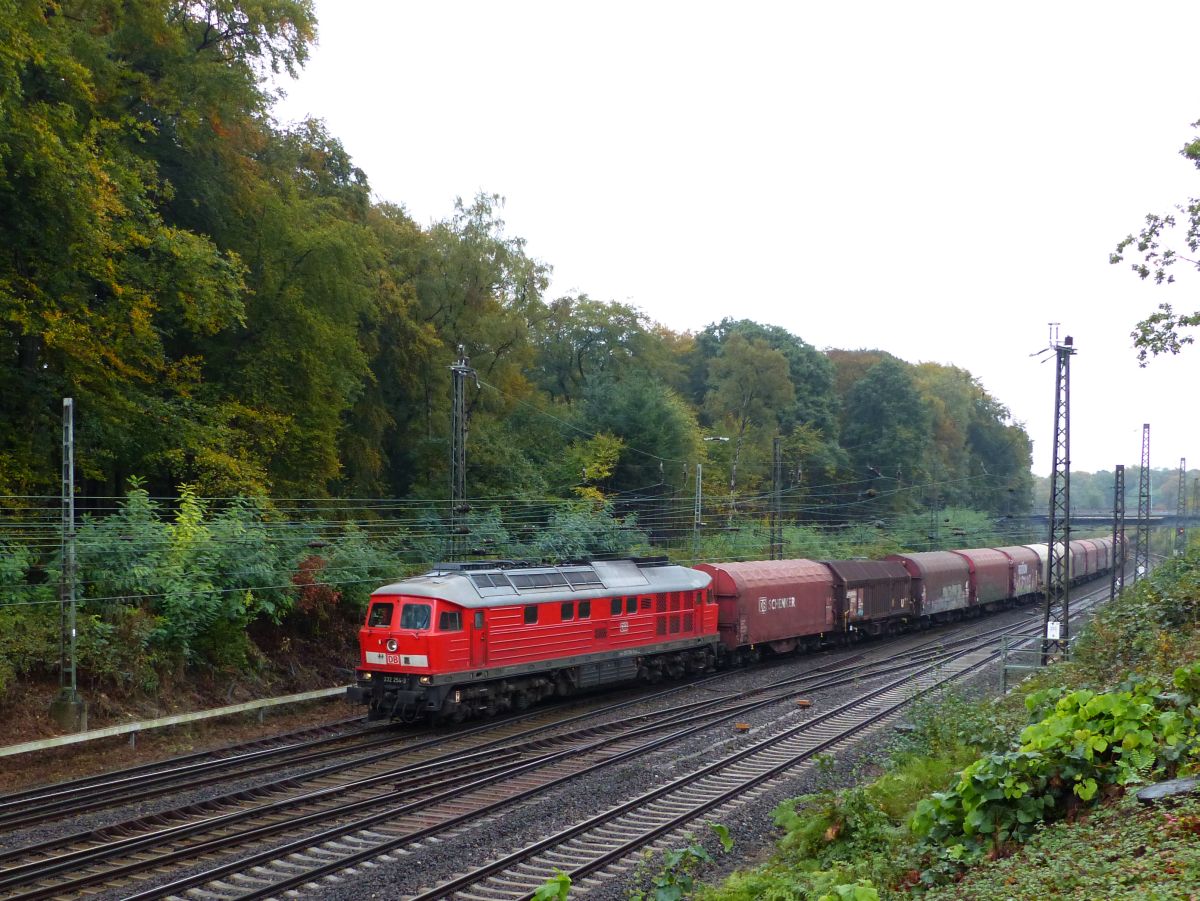 DB Schenker Diesellok 232 254-3 Abzweig Lotharstrasse, Forsthausweg, Duisburg 20-10-2016.

DB Schenker dieselloc 232 254-3 Abzweig Lotharstrasse, Forsthausweg, Duisburg 20-10-2016.