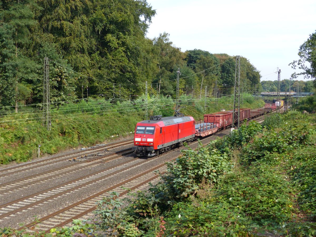 DB Schenker Lok 145 029-5 Abzweig Lotharstrasse, Forsthausweg, Duisburg 22-09-2016.

DB Schenker loc 145 029-5 Abzweig Lotharstrasse, Forsthausweg, Duisburg 22-09-2016.