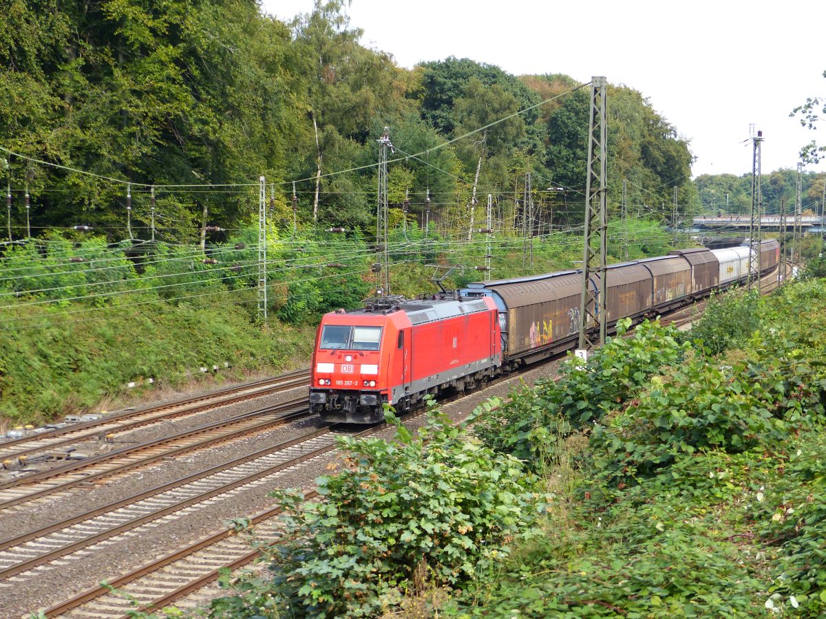 DB Schenker Lok 185 267-2 Abzweig Lotharstrasse, Forsthausweg, Duisburg 22-09-2016.

DB Schenker loc 185 267-2 Abzweig Lotharstrasse, Forsthausweg, Duisburg 22-09-2016.