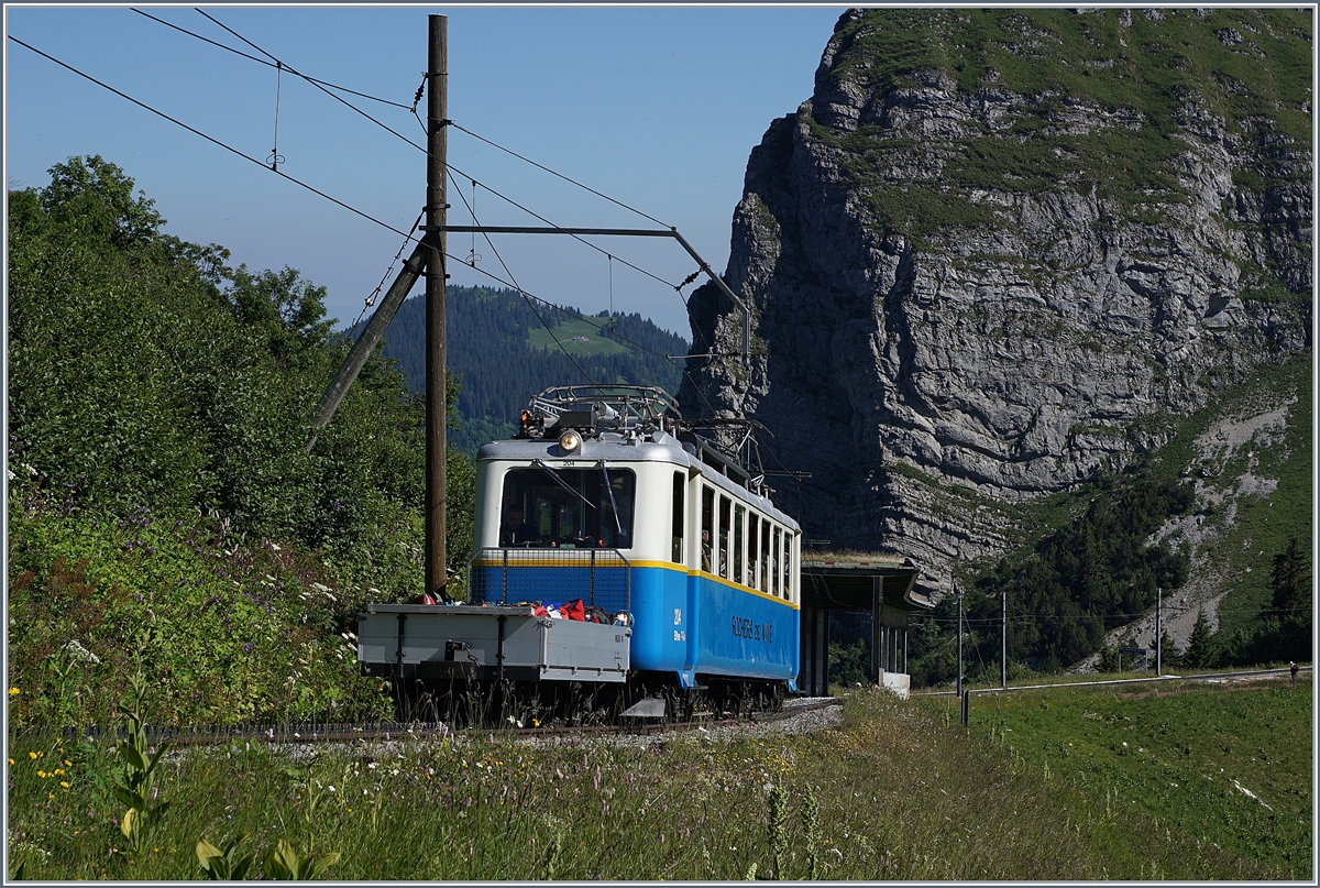 Der Rochers de Naye Bhe 2/4 204 fährt vor der mächtigen und nur teilweise zu sehenne Kulisse des Dent de Jaman Richtung Gipfel.
1. Juli 2018
