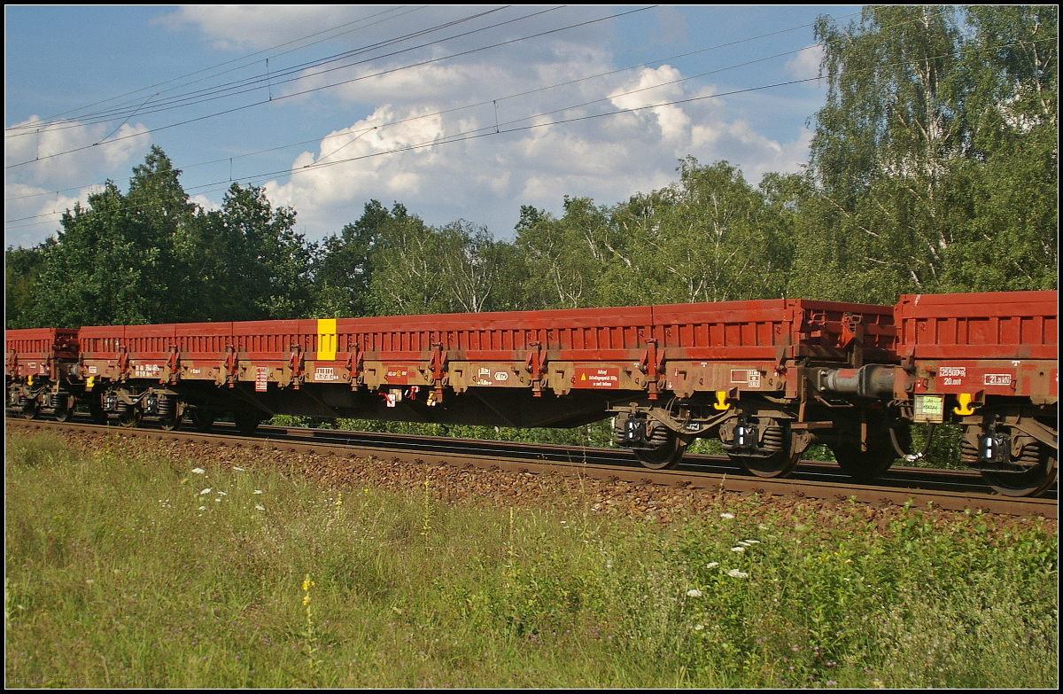 Der vierachsige Flachwagen der Gattung Res-x 679.3 dient zum Transport von schweren Schüttgütern. Durch den markanten gelben Strich in der Mitte des Wagens ist er für den Bauzugdienst eingeteilt. Der Wagen lief mit vielen weiteren Wagen in einem Zug der am 09.08.2017 durch die Berliner Wuhlheide fuhr (31 RIV 80 D-DB 3944 461-3 Res-x 679.3)
