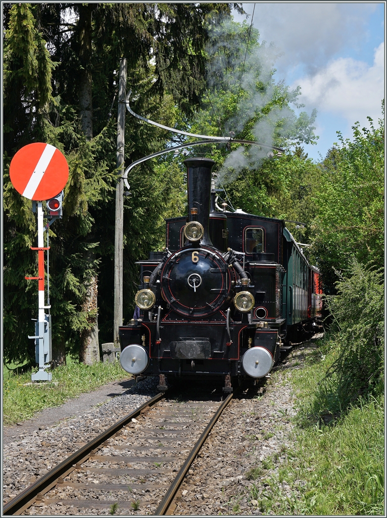 Die BAM G 3/3 N° 6 beim Einfahrsignal von Chaulin. 
14. Mai 2016  