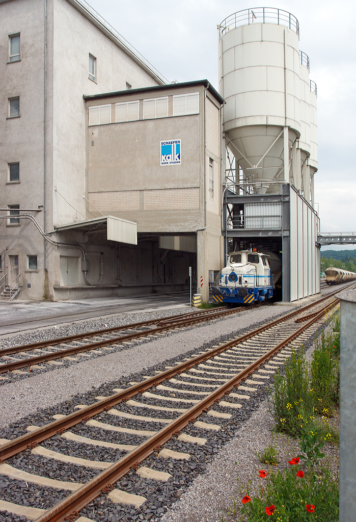 
Die Deutz Dieselhydraulische Rangierlokomotive KG 230 B (Deutz 57716) der Schaefer Kalk GmbH & Co. KG, Werk Steeden, hier am 26.05.2014 in Runkel-Steeden, mit 4-achsiger Behälterwagen für staubförmige Güter mit Druckluftentleerung, der Gattung Uacs, an der Verladeanlage.

Die Lok wurde 1964 bei Deutz unter der Fabriknummer 57716, für Weserport Umschlagsgesellschaft in Bremerhaven als Lok 16, gebaut. Im Jahr 1994 ging sie an DWU - Deponie-Wirtschaft und Umweltschutztechnik GmbH in Espenhain als UWE 16, im Jahr 2000 dann an Thyssen Umformtechnik + Guss GmbH, Werk Bielefeld-Brackwede, bis sie dann 2008 nach hier zu Schaefer Kalk, Werk Steeden, kam.