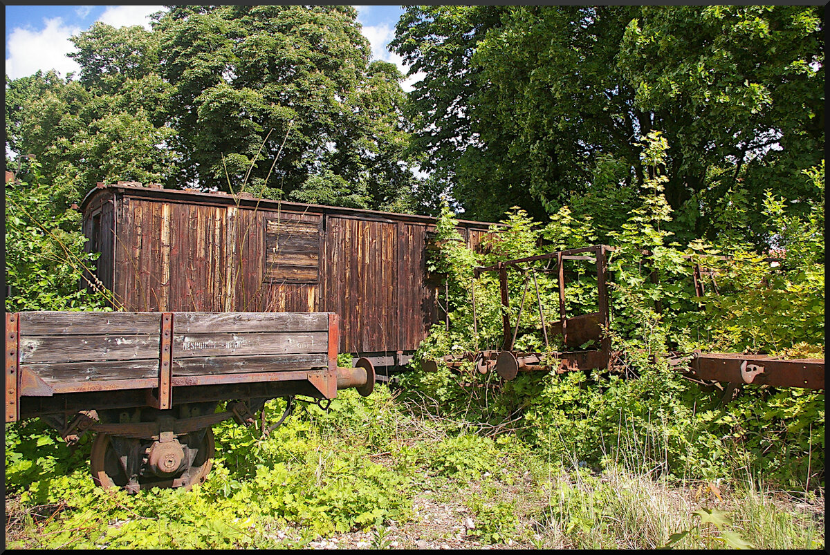Die  grüne Ecke  im Eisenbahnmuseum Jaroměř. Die Natur holt sich bereits abgestellte Güterwagen zurück.

Eisenbahnmuseum Jaroměř, 21.05.2022
