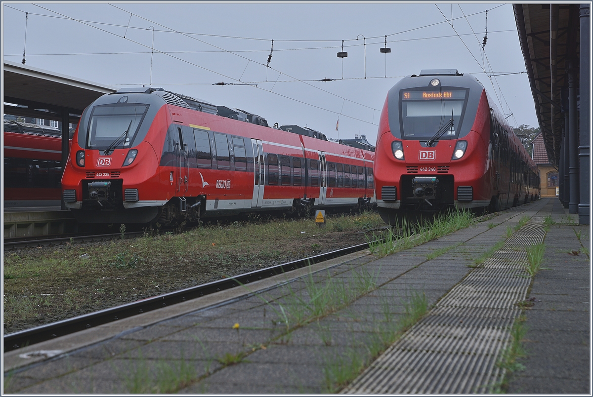 Die Hamster 442 338  und 442 346 in Warnemünde. Sie haben vor wenigen Jahren die 143 mit Doppelstockwagen abgelöst und werden ihrerseits bald durch Doppelstocktriebzügen ersetzt.
27. Sept. 2017