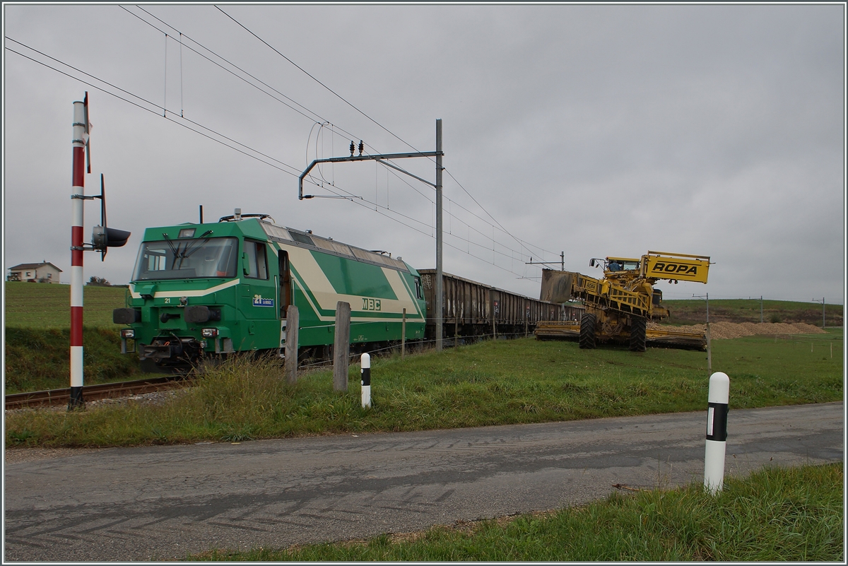 Die Lok ist abgebügelt, die Fahrleitung geerdet und wie man sieht, warten ein ganze Menge Zuckerrüben auf den Verlad.
Bei Mauraz, den 15. Okt. 2014