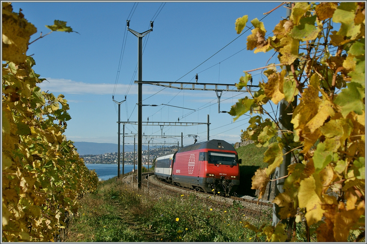 Die Re 460 112-0 mit einem IR in den Weinreben von Cully.
28. Okt. 2013