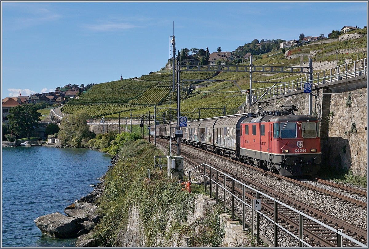 Die SBB Re 420 252-9 mit einem Güterzug auf der Fahrt Richtung Vevey kurz nach Rivaz. 

30. Sept. 2019