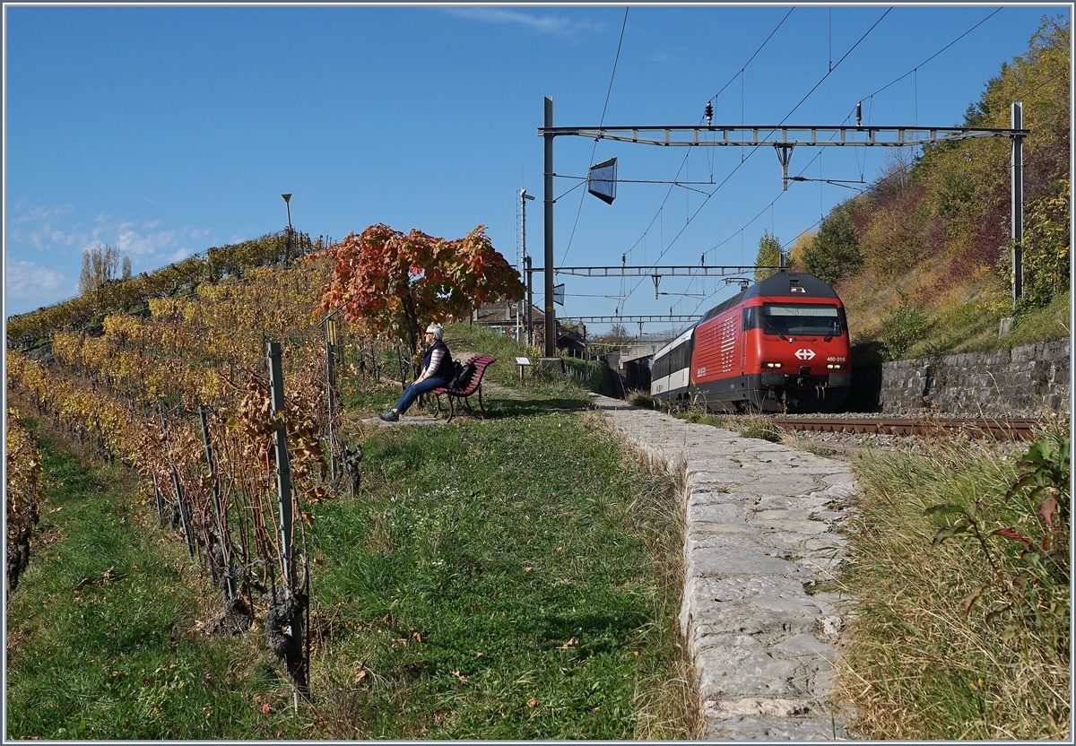 Die SBB Re 460 015 fährt mit einem IR nach Luzern zwischen Bossière und Grandvaux durchs Lavaux. 
26. Ok.t 2017