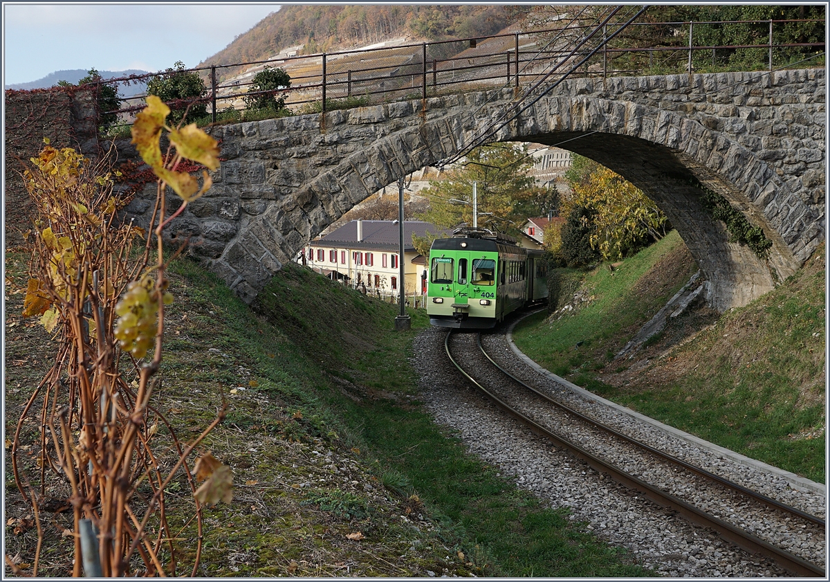 Die Trauben links im Bild sind zwar nicht scharf, aber herrlich sss; im Bild zudem der ASD BDe 4/4 404, der mit seinem Bt 432 als ASD Regionalzug 448 kurz nach der Station Aigle Chteau (vormals Aigle Dpt ASD) die Steigung Richtung Verchiez in Angriff genommen hat. 18. Nov. 2018