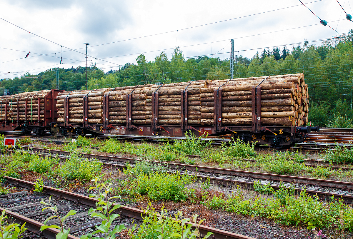 
Drehgestellflachwagen mit vier Radsätzen und Niederbindeeinrichtung, 31 80 4723 383-4 D-DBSNI, der Gattung Snps 719 der DB Cargo Logistics GmbH (ex DB Schenker Nieten GmbH) beladen mit Fichten-Rundholz abgestellt am 31.08.2020 beim Rbf Betzdorf (Sieg).

Der Drehgestell-Flachwagen wurde speziell für den Transport von Rohren, Profilstahl, Flachstahlprodukten, sowie Stamm- und Schnittholz entwickelt und zeichnet sich durch hohe Ladekapazität und optimierte Ladesicherung aus. 

Zur Aufnahme und Abstützung der Ladung sind auf dem Wagenboden Ladeschwellen und an den Wagenlängsseiten Rungen angebracht. Zur Verzurrung der Ladung sind von Hand zu bedienende Niederbindeeinrichtungen vorhanden. Für die Auflage des Ladegutes sind hölzerne Ladeschwellen im Rungenbereich und im Abstand von 1 m von Wagenende vorhanden. Außerdem sind feste 5 mm niedrigere Hilfsladeschwellen zwischen den Rungen zur Unterstützung von leicht durchhängendem Ladegut (z. B. Schnittholz) angeordnet. Die Ladeschwellen sind genügend hoch, so dass die handelsüblichen Umschlagmittel verwendet werden können. Der Wagenboden ist mit einem begehbaren Loch- bzw. Riffelblech vollständig abgedeckt. Zur Aufnahme von Lasten oder zum Befahren mit Flurförderfahrzeugen sind die Abdeckungen nicht geeignet. Zur Sicherung der Ladung sind auf jeder Wagenlängsseite in gleichmäßigen Abständen 8 Rungen vorhanden. Die Rungen sind mit dem Untergestell-Außenlangträger fest verbunden und so ausgeführt, dass sie die durch die Ladung entstehenden Kräfte in Wagenlängs- und Wagenquerrichtung sicher aufnehmen können. Die Innenseiten der Rungen sind ausgekleidet.

Zur Verzurrung des Ladegutes ist jedes Rungenpaar mit einer Niederbindeeinrichtung ausgerüstet, die von einer Person bedient werden kann. Die Spanngurte sind zur Schonung des Ladegutes mit einem elastischen Werkstoff ummantelt. Die Länge des Gurtes und die Teilung der Raster sind so gewählt, dass auch Ladungen, die nur etwa die halbe Rungenhöhe einnehmen, verzurrt werden können.

TECHNISCHE DATEN:
Gattung: Snps 719
Spurweite: 1.435 mm (Normalspur)
Länge über Puffer: 	20.840 mm
Drehzapfenabstand: 15.800 mm
Radsatzstand in den Drehgestellen: 1.800 mm
Ladelänge: 19.000 mm
Ladebreite: 2.723 mm (zwischen den Rungen)
Fußbodenhöhe über SO: 1.280 mm (OK Ladeschwelle)
Rungenhöhe: 2.000 mm
Eigengewicht: 23.850 kg 
Zuladung bei Lastgrenze S: 63 t (ab Streckenklasse D) 
Max. Geschwindigkeit: 100 km/h / 120 km/h (leer)
Kleinster Gleisbogenhalbmesser:	35 m
Bauart der Bremse: KE-GP
Verwendungsfähigkeit: RIV
