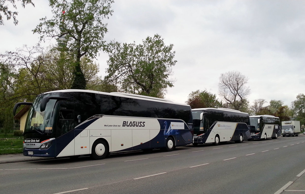  Drei Setra 515 HD von Blaguss-Ama Waterways Reisen in Wien beim Donauturm gesehen.