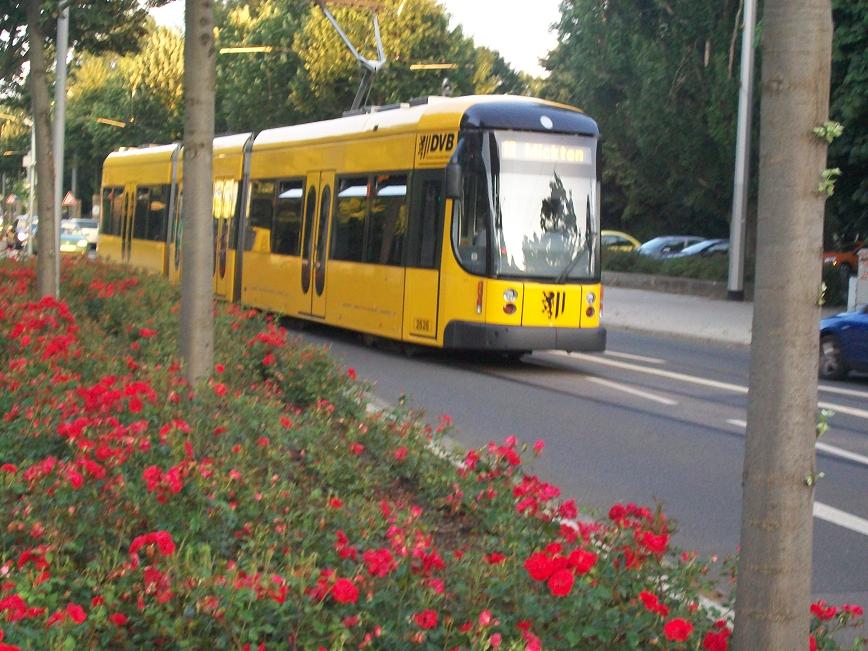 Dresdner Straßenbahn am 03.07.2009