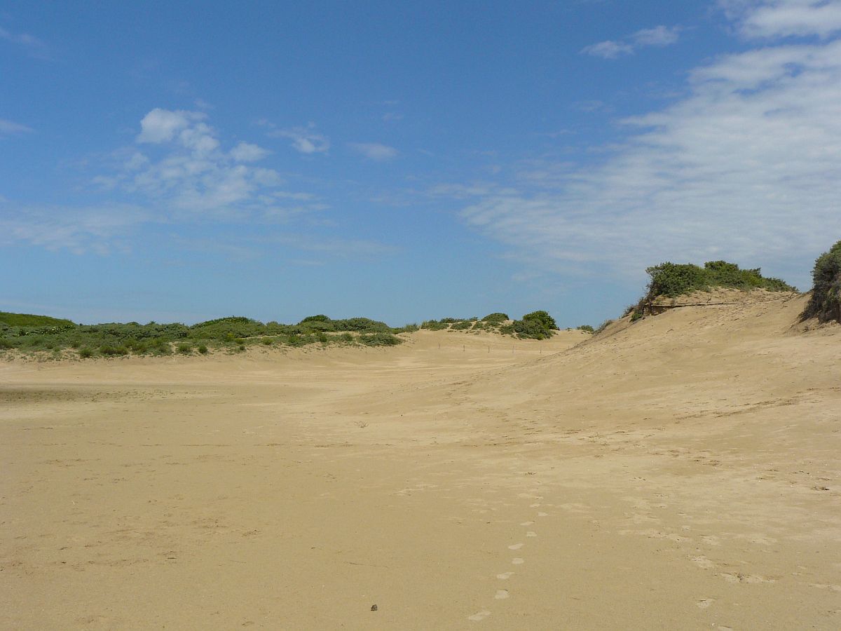 Dne bei Noordwijk 08-06-2014. 


Zandvlakte Duinen bij Noordwijk 08-06-2014.