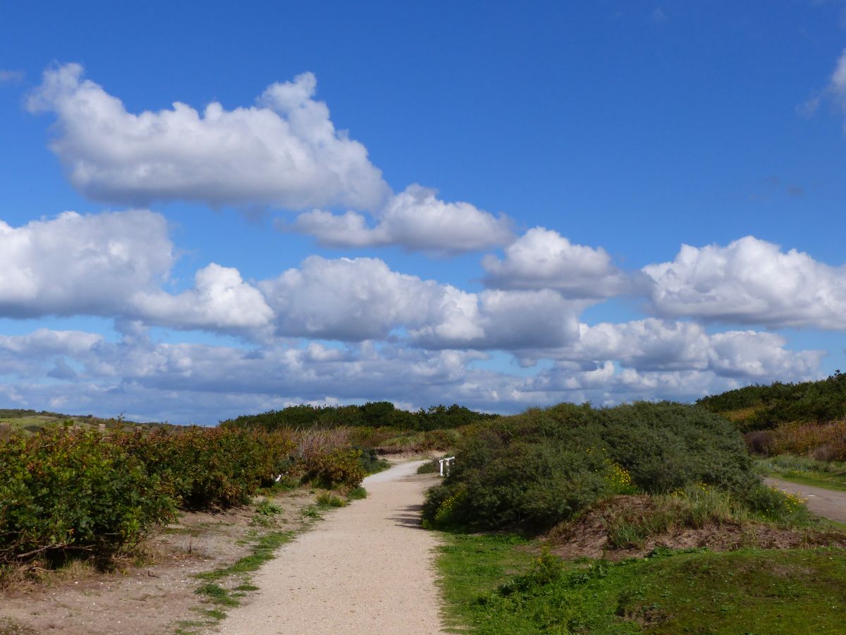 Dne bei Noordwijk 27-09-2015.

Duinen bij de Zeeweg, Noordwijk 27-09-2015.