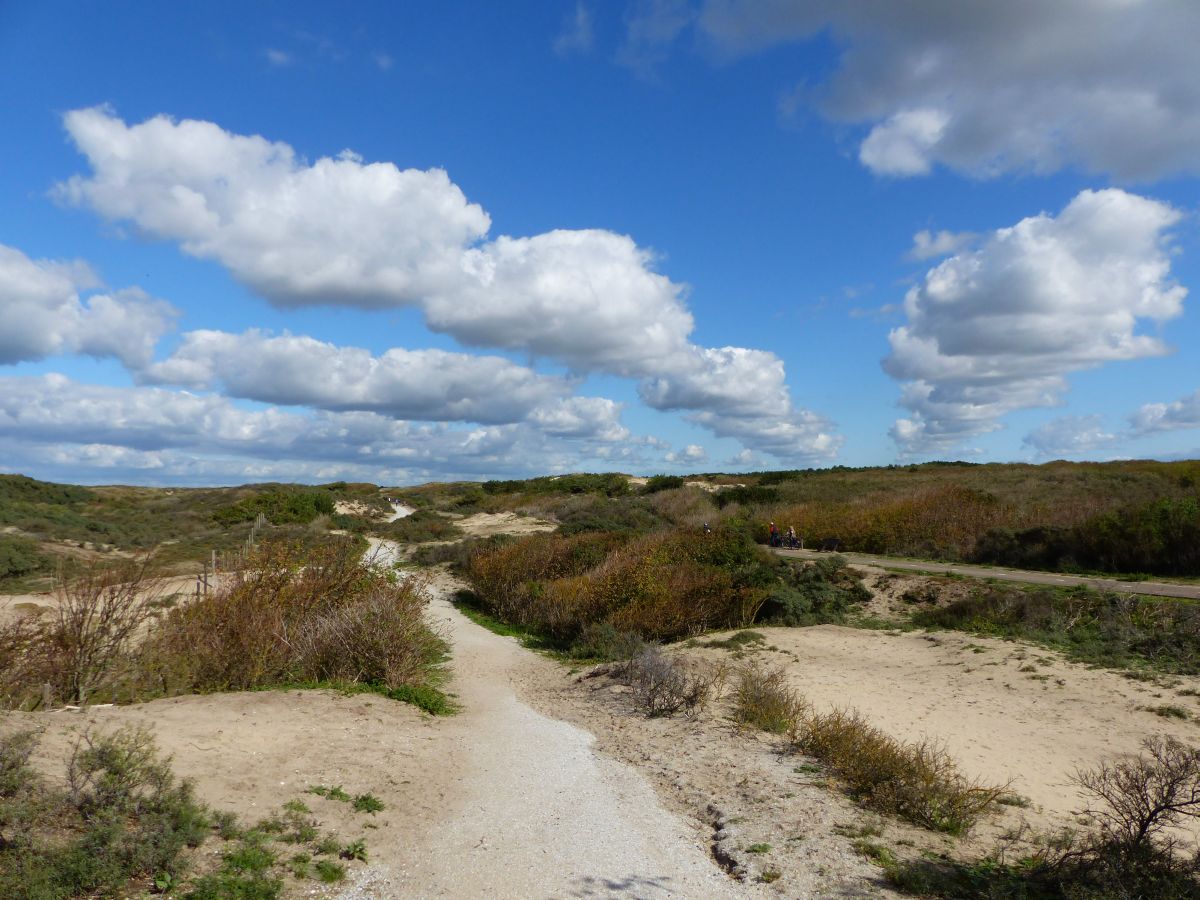 Dne bei Noordwijk 27-09-2015.

Duinen bij de Zeeweg, Noordwijk 27-09-2015.