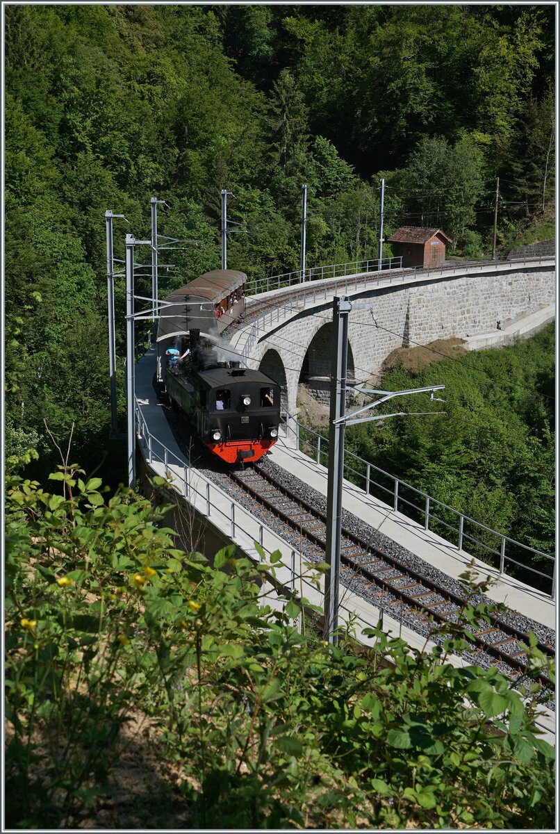 Durch die Sanierung des Baye de Clarens Viadukts und der damit verbunden Rodung einiger Bäume ergibt sich nun für kurze Zeit ein neuer Blick auf den Viadukt, welcher gerade von der  SWEG G 2x 2/2 105 mit ihrem Reisezug nach Blonay befahren wird. 
Die MOB hat keine Mühe und Kosten gescheut neben der Restaurierung (ohne Streckenunterbruch für den Museumsbahnverkehr!) auch etliche Streckenabschnitte zwischen Chamby und Blonay mit neuen Gleisen und Fahrleitung ausgestattet.

18. Mai 2025