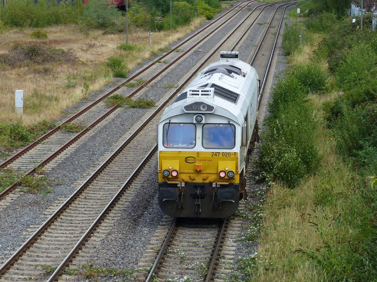 ECR (Euro Cargo Rail) Diesellokomotive 247 020-1 Wanheimerstrasse, Duisburg 21-08-2020.


ECR (Euro Cargo Rail) diesellocomotief 247 020-1 Wanheimerstrasse, Duisburg 21-08-2020.