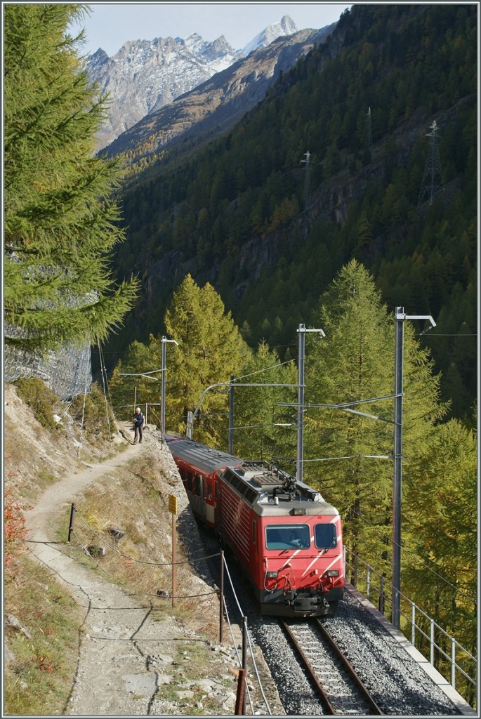 Eigentlich wollten wir wie seit langem geplant, die Lrchen im Graubnden fotografieren, doch schlechtes Wetter im Sden liessen es uns klger erscheinen, ins Mattertal im Kanton Wallis zu fahren. Obwohl der Wanderweg von Tsch nach Zermatt in der Nhe, oder sogar auf der Bahnstrecke verluft gibt es ausser im flachen, ersten Teil nur sehr wenige Fotostellen.
Hier ist die HGe 4/4 zu sehen, die in wenigen Minuten ihr Ziel Zermatt erreicht haben wird.
21. Okt. 2013