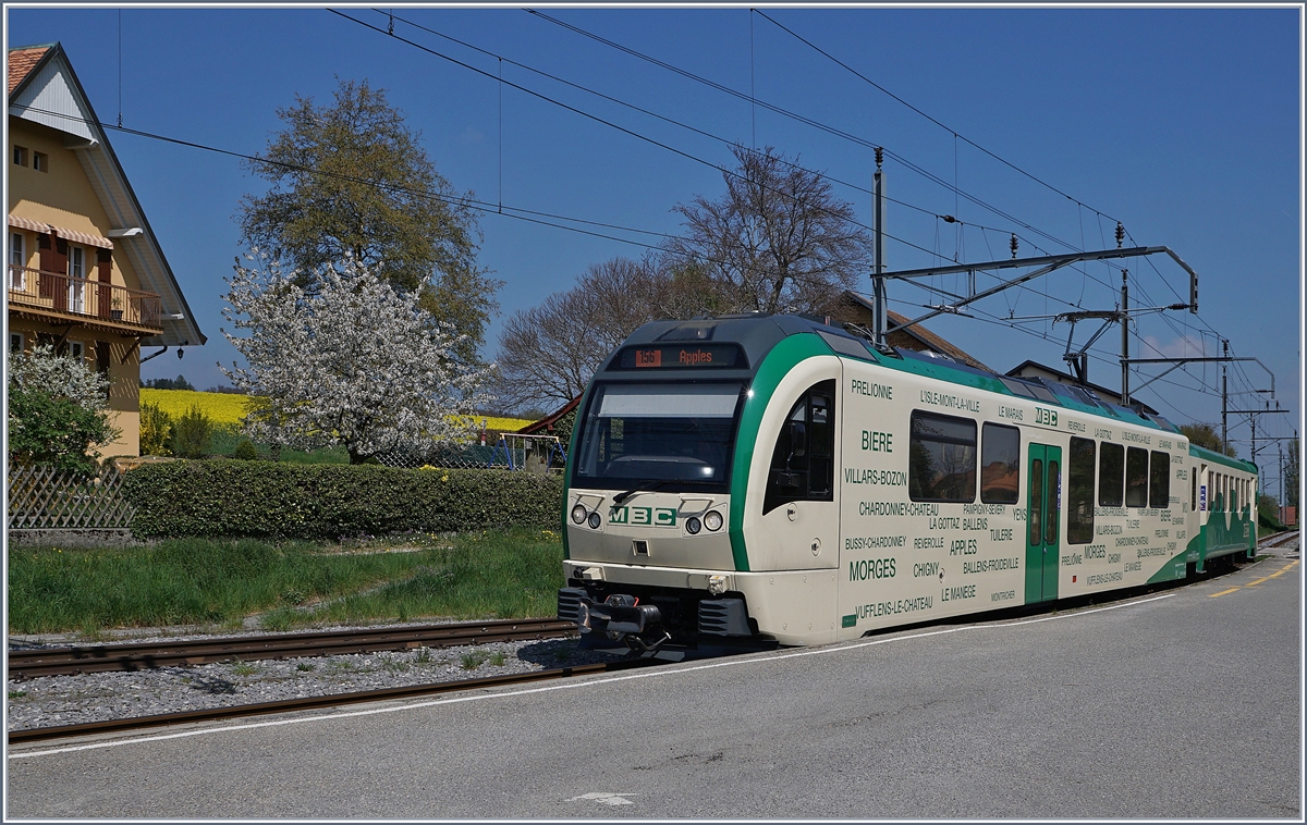 Ein  Bahnsteigbild  mit Frühlingsambiente: der BAM MBC Be 4/4 35 mit Bt 54 erreicht Apples.
11. April 2017