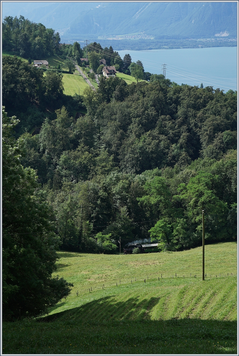 Ein Bahnsuchbild, welches eher dazu dient die Streckenführung der Blonay-Chamby Bahn zu zeigen.
1. August 2016