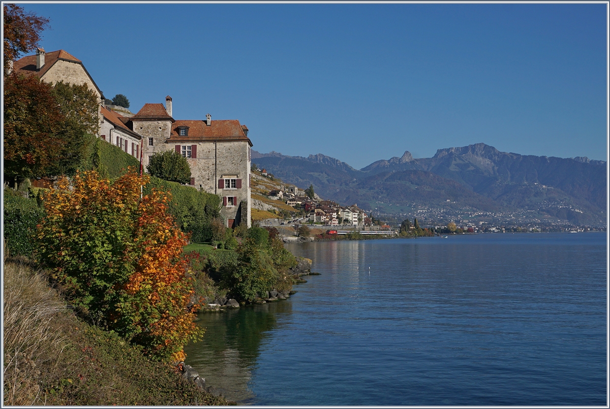 Ein Blick in die Ferne bei Rivaz lässt eine Re 460 mit einem IR auf der Fahrt Richtung Genève entdecken. 

16. Okt. 2017