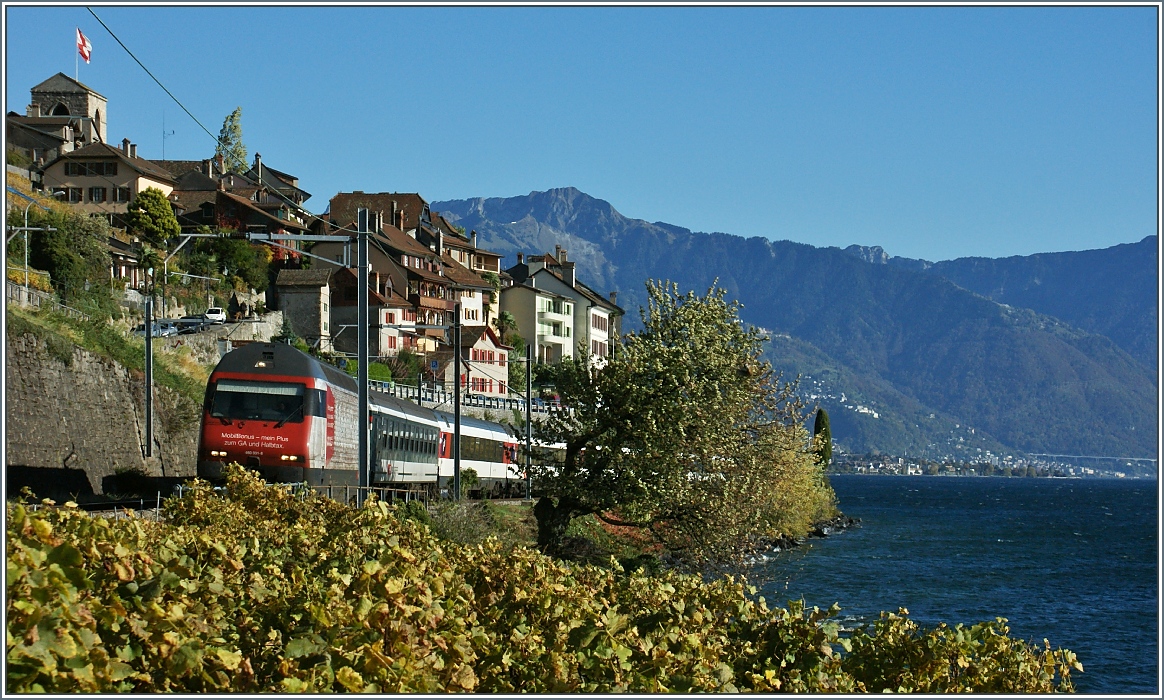 Ein Interregio fährt an St.Saphorin vorbei.
(28.10.2013)