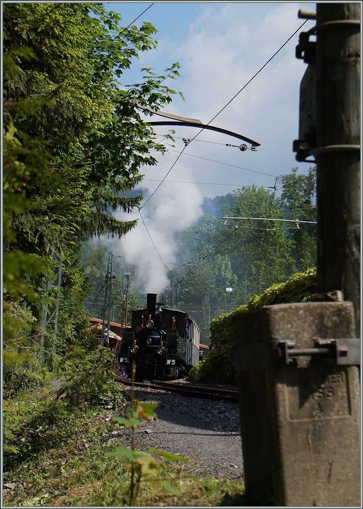 Ein vegetarischer Blick auf die zum Teil grüne B-C G 3/3 N° 5 in Chaulin.
25. Mai 2015