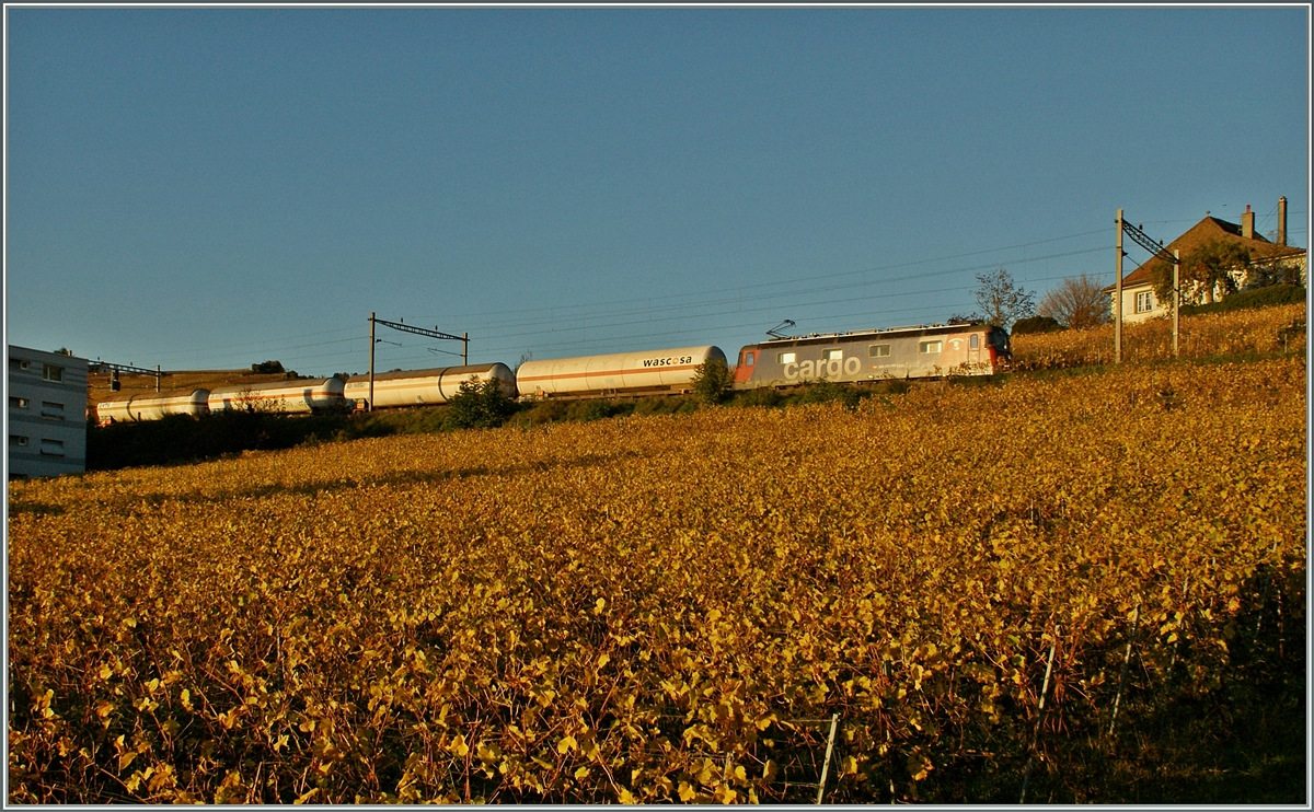 Eine SBB Cargo Re 6/6 mit einem lzug Ausgangs Lutry Richtung Wallis.
11.11.13