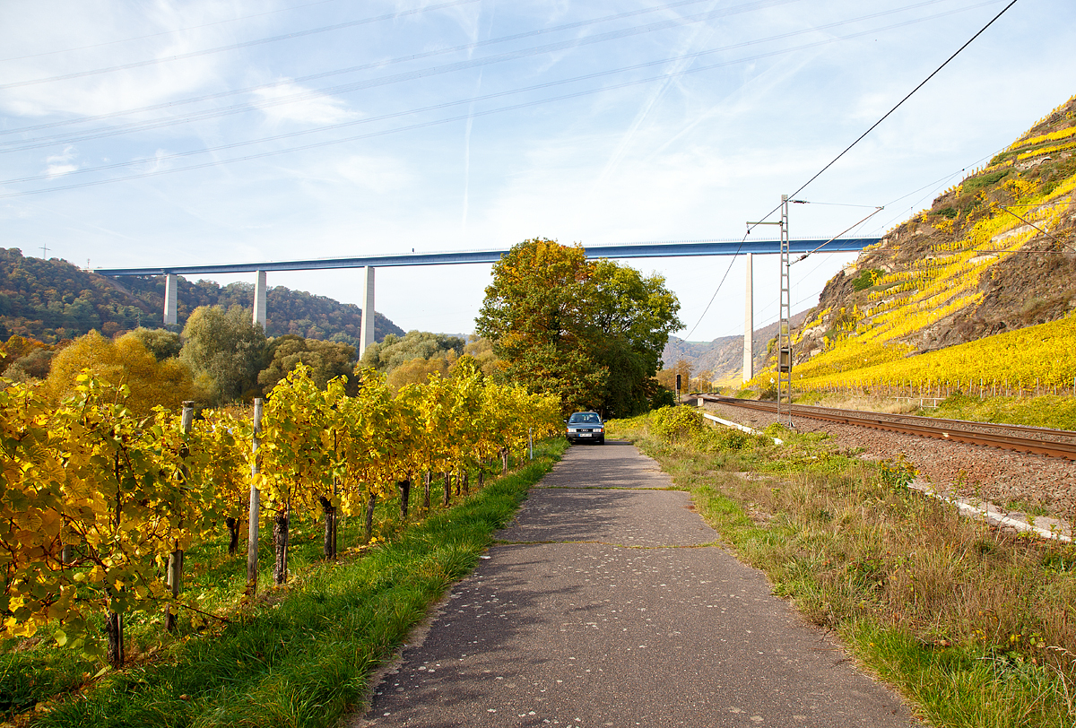 
Einige dürften diesen Ort noch in guter Erinnerung haben, aber jetzt im Herbst ist es hier noch etwas farbenfroher...
Unterhalb vom Winninger Hamm, Blickrichtung Moselaufwärts. Im Hintergrund die Moseltalbrücke der A 61. Winningen/Mosel den 01.11.2016.